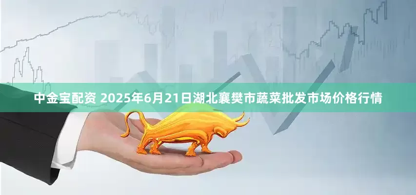 中金宝配资 2025年6月21日湖北襄樊市蔬菜批发市场价格行情