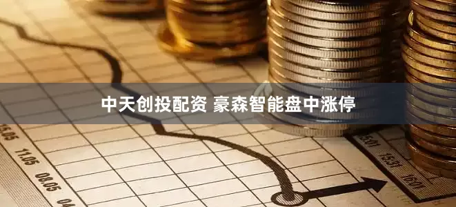 中天创投配资 豪森智能盘中涨停