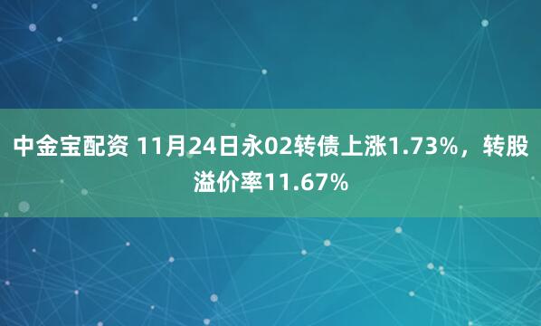 中金宝配资 11月24日永02转债上涨1.73%，转股溢价率11.67%